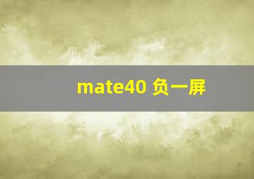 mate40 负一屏